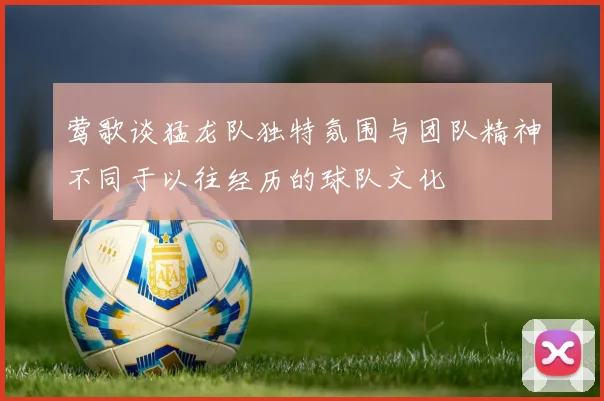 莺歌谈猛龙队独特氛围与团队精神不同于以往经历的球队文化