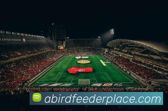 App 展示图